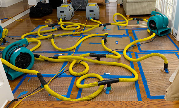 Professional Burst Pipe Water Damage technician working in Greensboro, IN